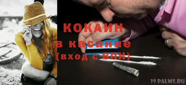 ГАЛЛЮЦИНОГЕННЫЕ ГРИБЫ Белокуриха