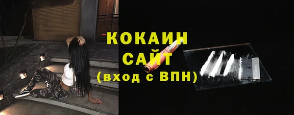 ГАЛЛЮЦИНОГЕННЫЕ ГРИБЫ Белокуриха