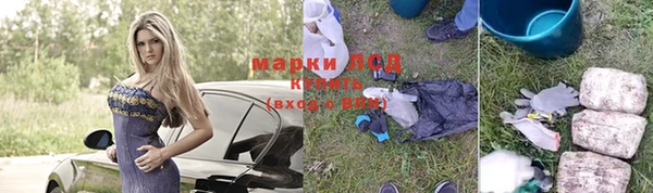 гидропоника Снежногорск