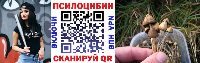 Галлюциногенные грибы Magic Shrooms Краснослободск